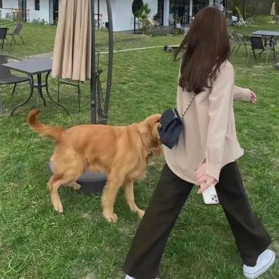 最后的飞行
